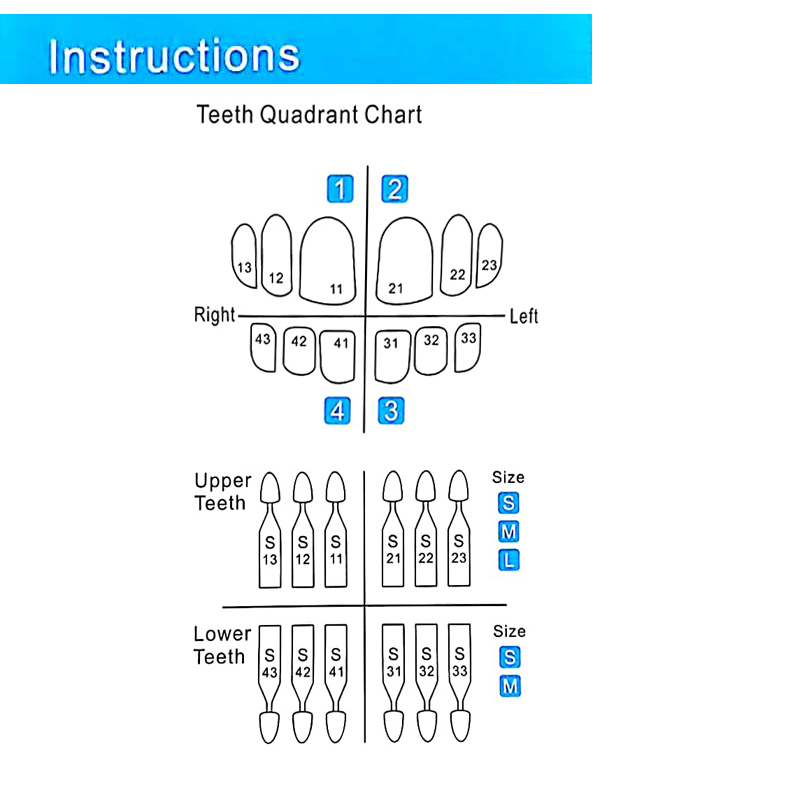 Molde dental autoclavable para - Teeth Whitening Moulds reseña y precio